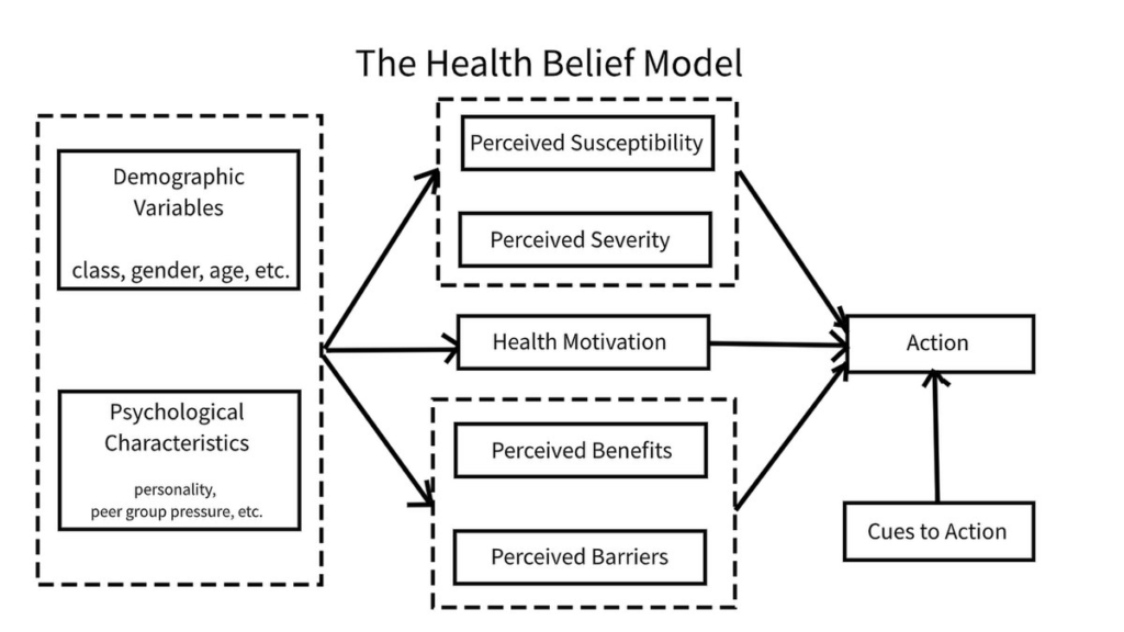 Graph of the Health Belief Model