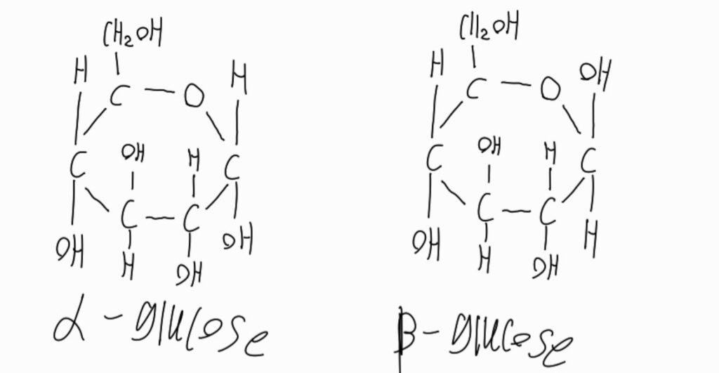 Carbohydrates