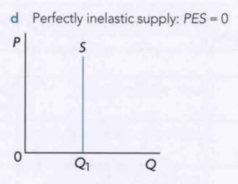 price elasticity of supply perfectly inelastic diagram